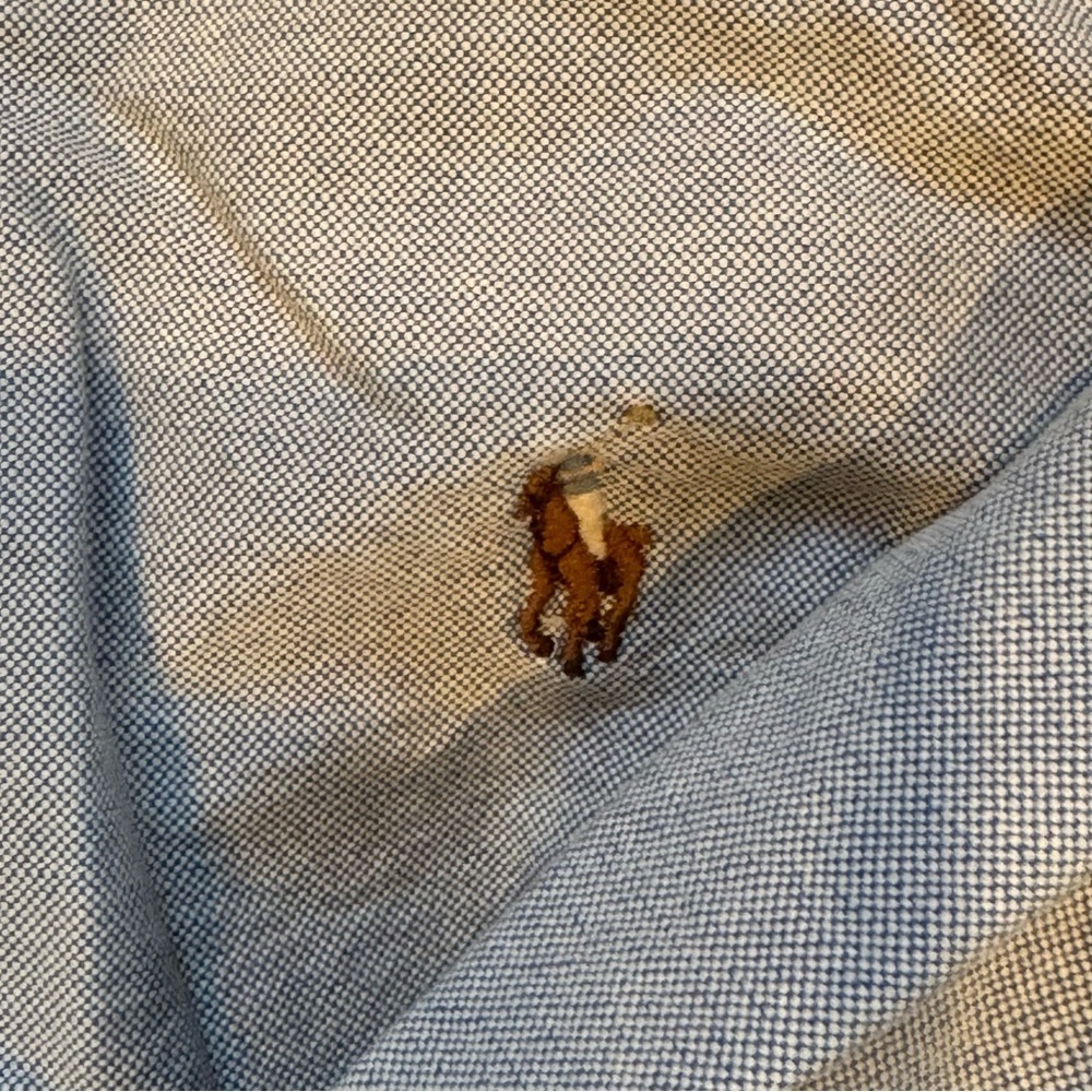 Ralph Lauren Classic Blue Button Down Shirt - Picture 3 of 3